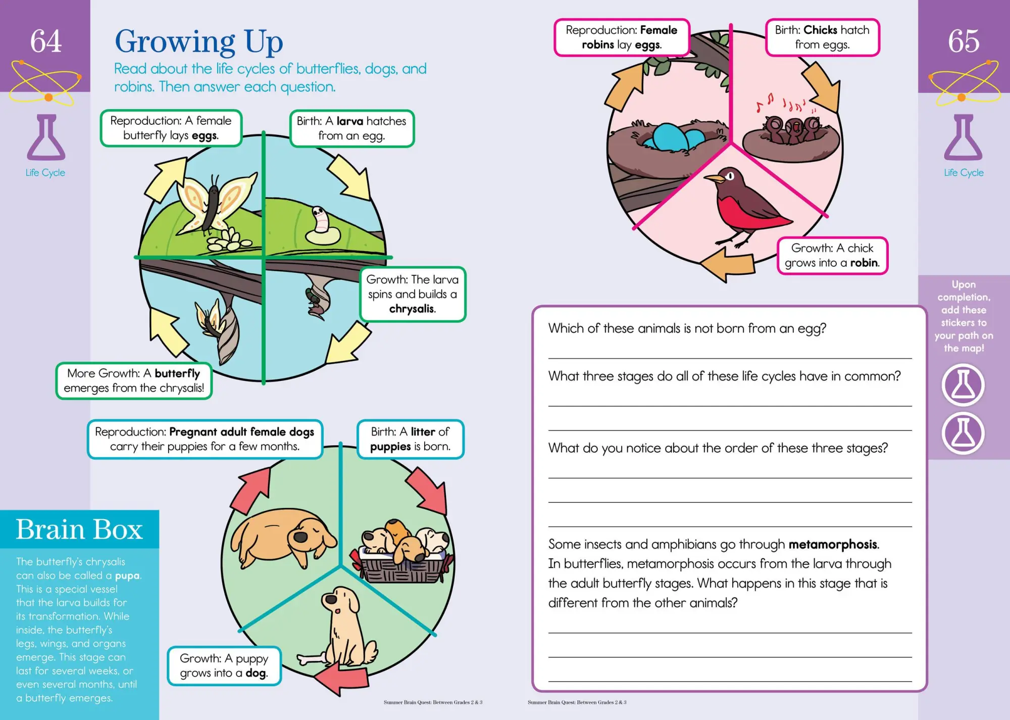 Bild: 9780761189183 | Summer Brain Quest: Between Grades 2 &amp; 3 | Workman Publishing (u. a.)