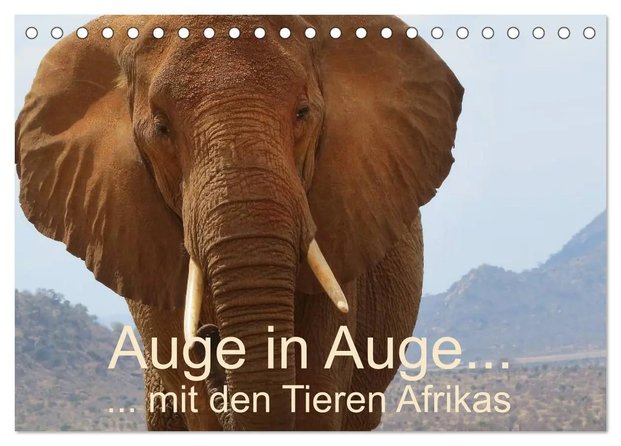 Cover: 9783516119183 | Auge in Auge mit den Tieren Afrikas (Tischkalender 2026 DIN A5...