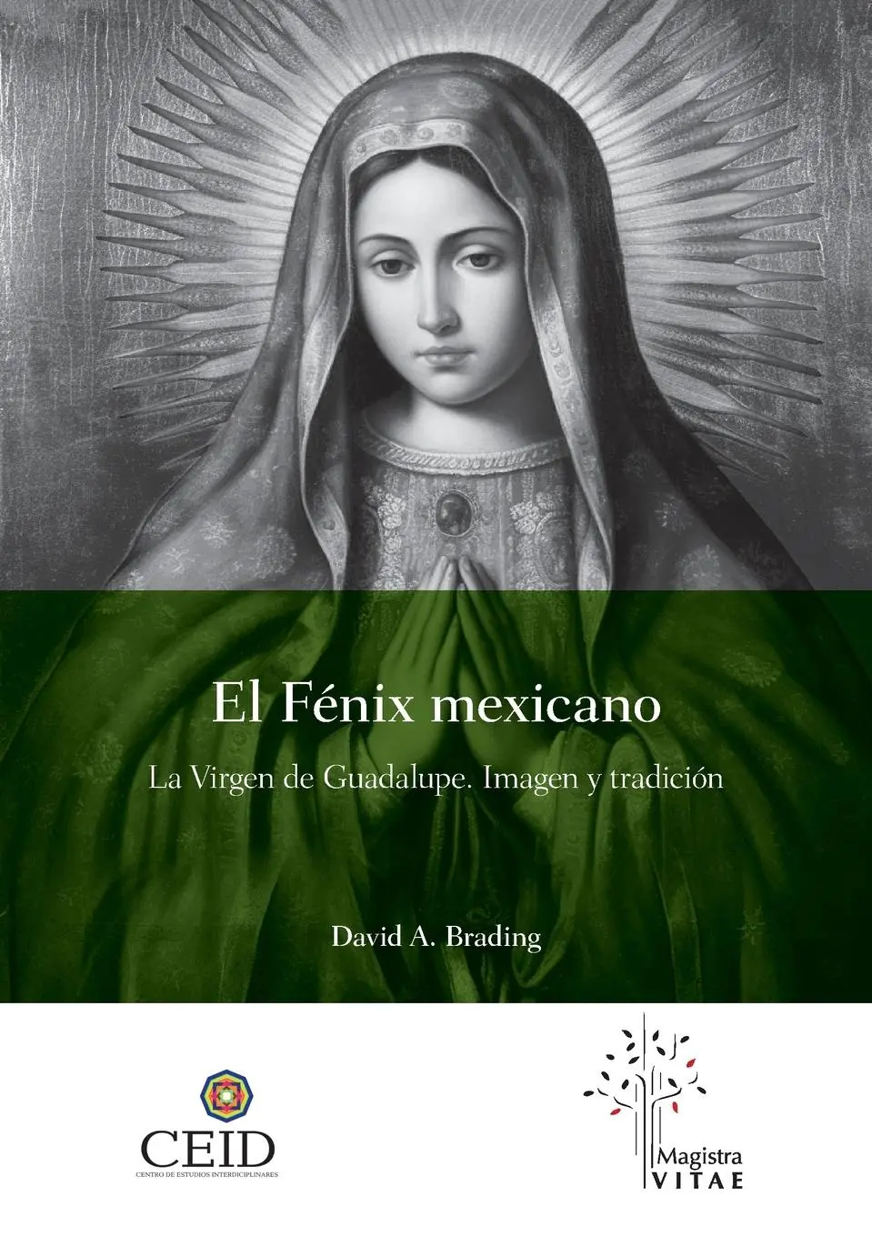Cover: 9786075969183 | El Fénix mexicano. La Virgen de Guadalupe. Imagen y tradición | Buch
