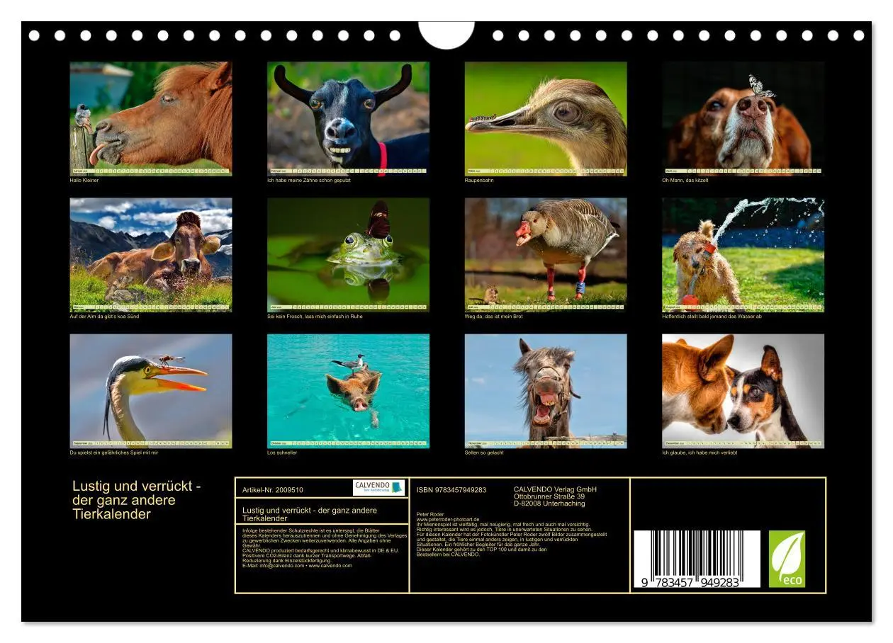 Bild: 9783457949283 | Lustig und verrückt - der ganz andere Tierkalender (Wandkalender...