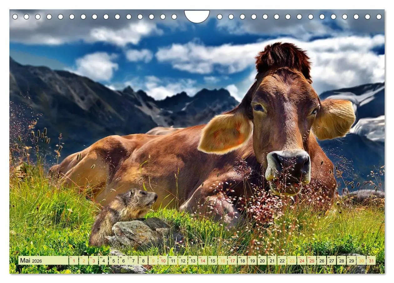 Bild: 9783457949283 | Lustig und verrückt - der ganz andere Tierkalender (Wandkalender...