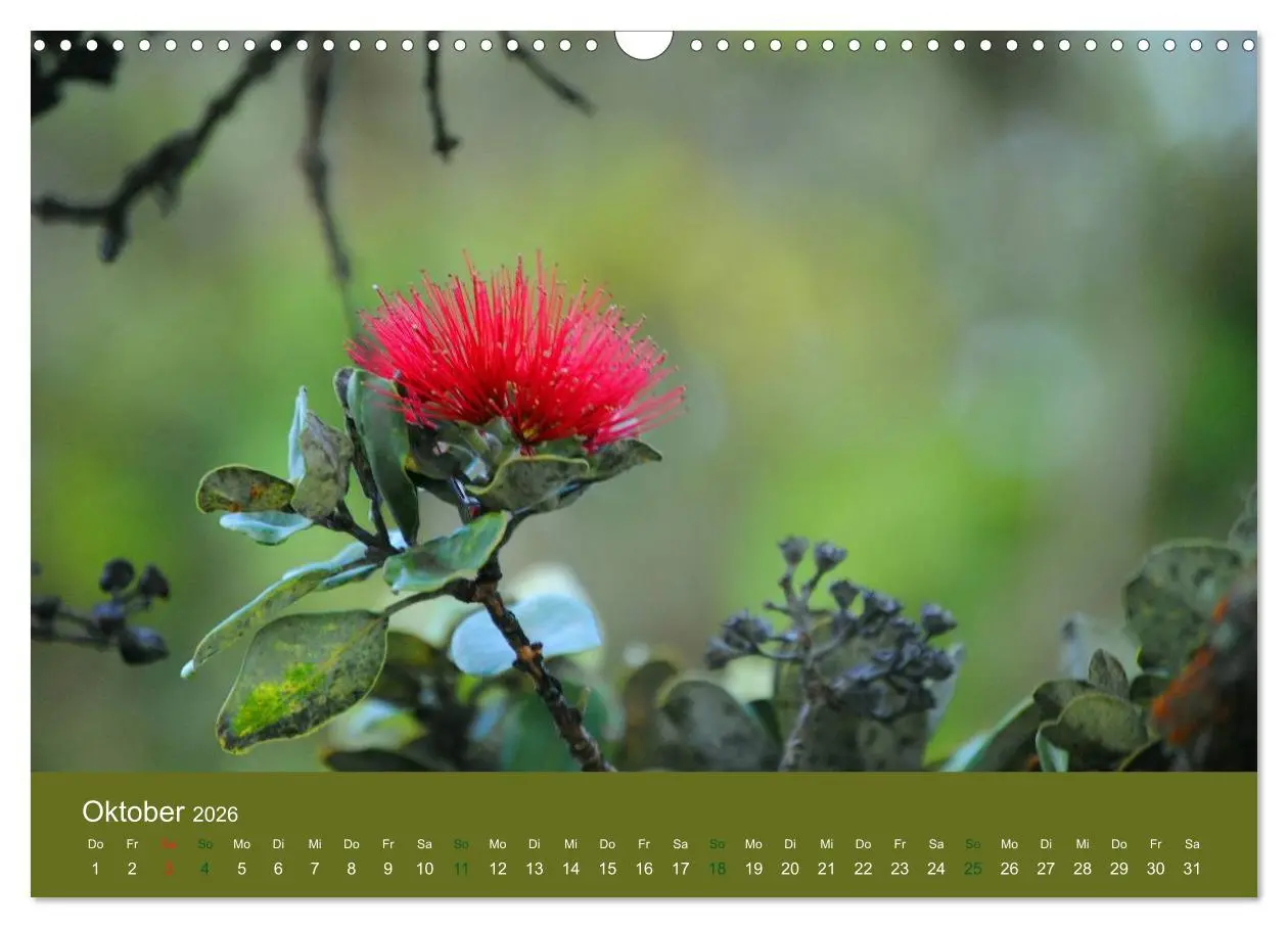 Bild: 9783516039283 | Hawaii Paradies auf Erden (Wandkalender 2026 DIN A3 quer), CALVENDO...