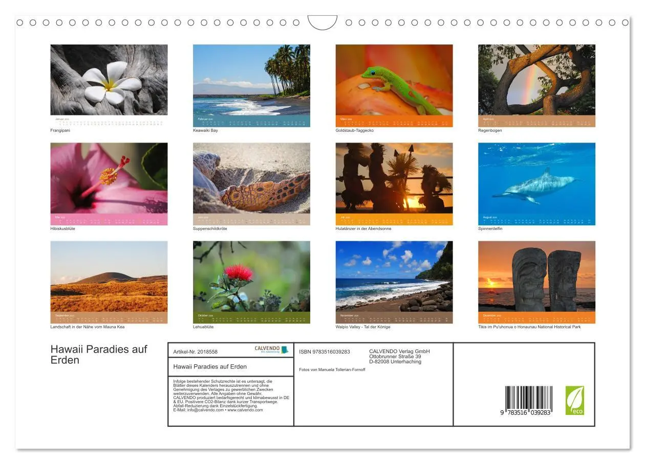 Bild: 9783516039283 | Hawaii Paradies auf Erden (Wandkalender 2026 DIN A3 quer), CALVENDO...