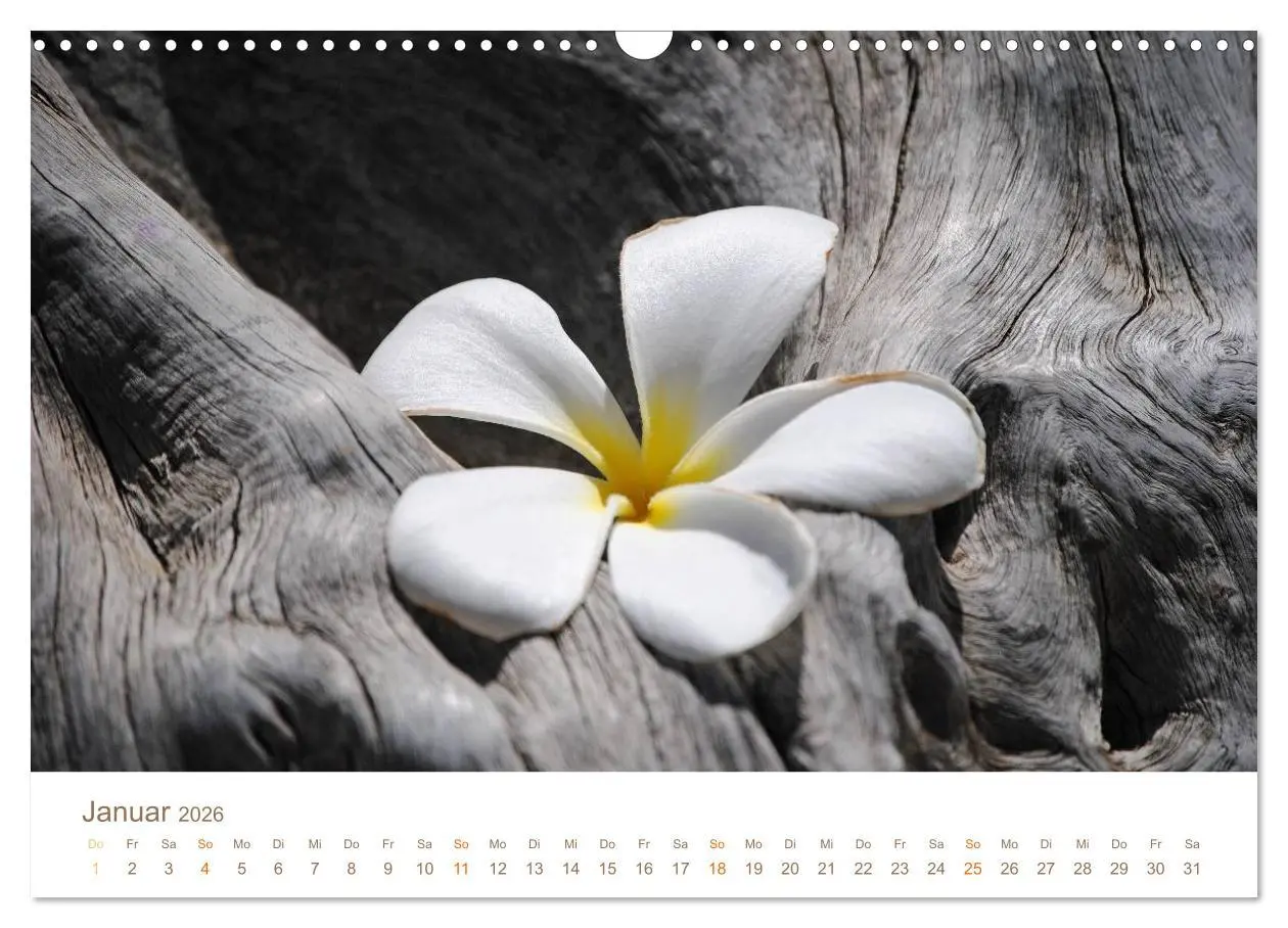 Bild: 9783516039283 | Hawaii Paradies auf Erden (Wandkalender 2026 DIN A3 quer), CALVENDO...