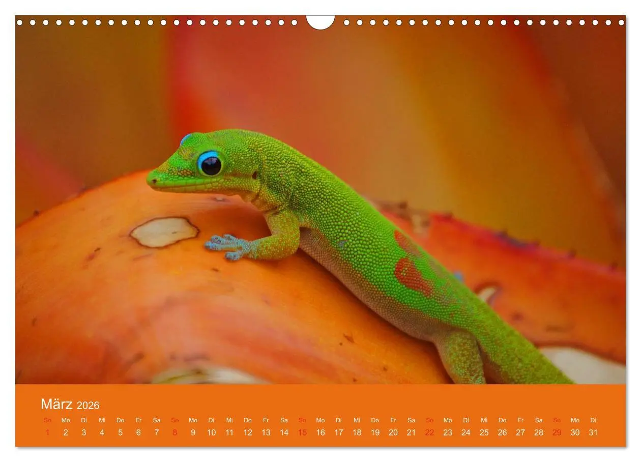 Bild: 9783516039283 | Hawaii Paradies auf Erden (Wandkalender 2026 DIN A3 quer), CALVENDO...