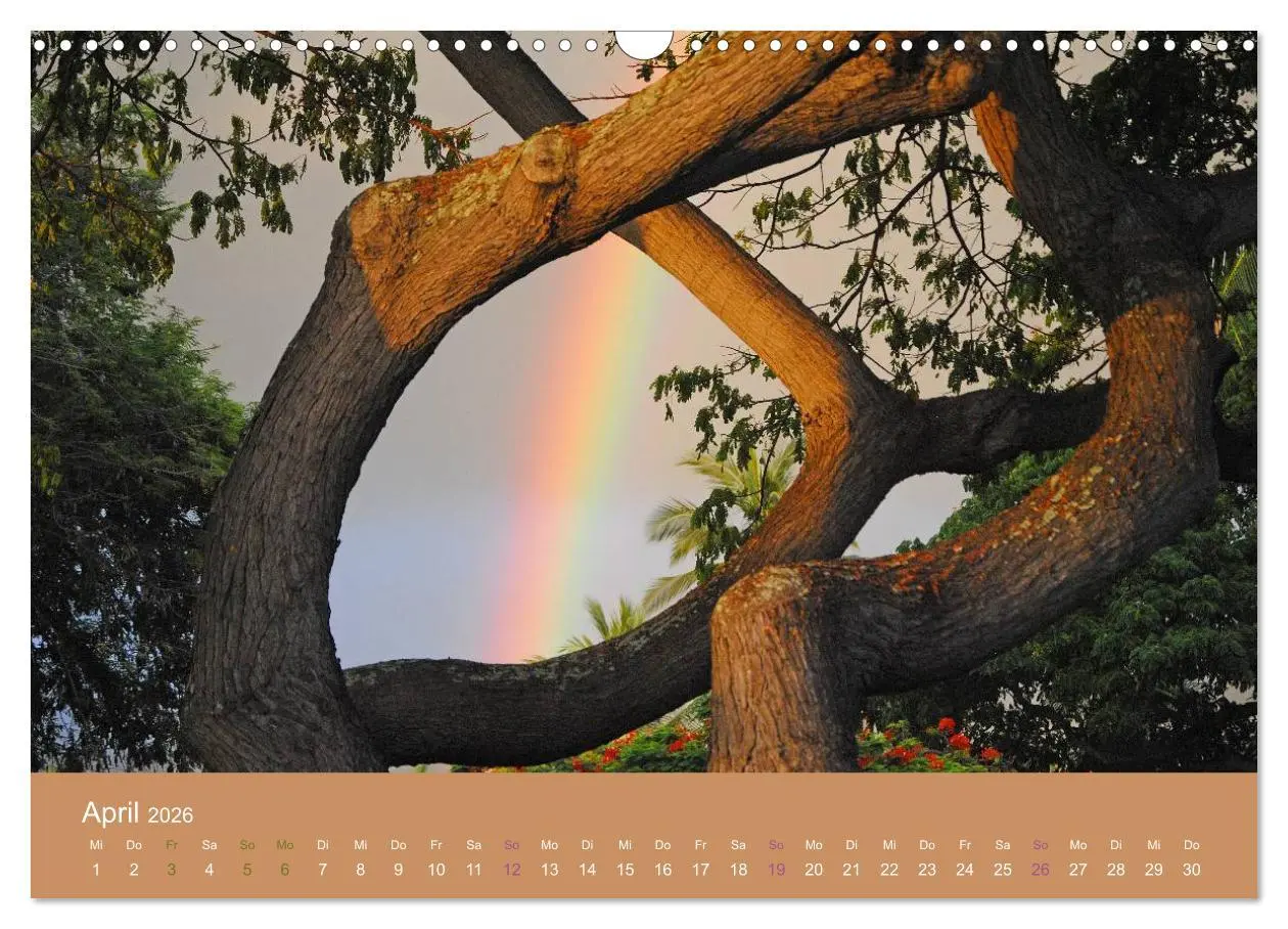 Bild: 9783516039283 | Hawaii Paradies auf Erden (Wandkalender 2026 DIN A3 quer), CALVENDO...