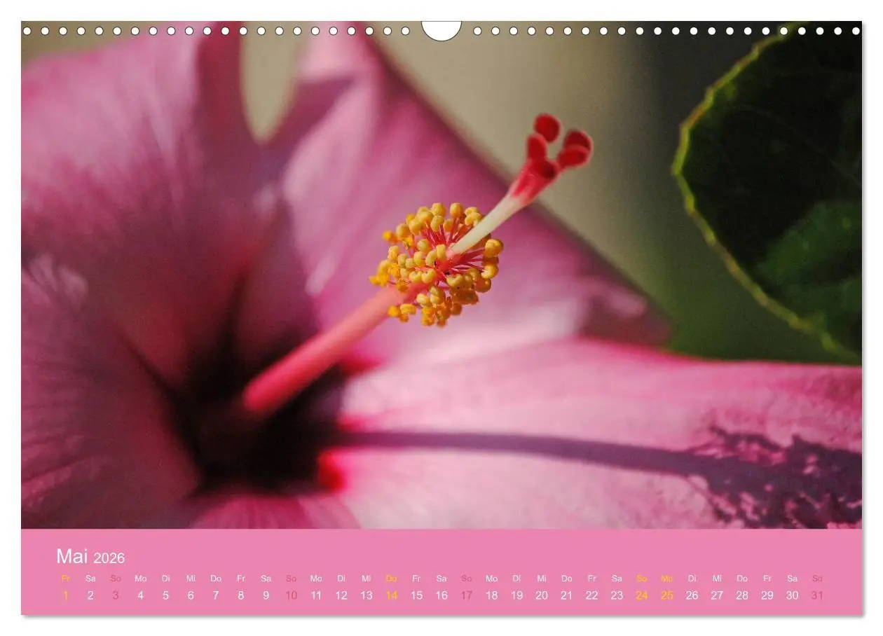 Bild: 9783516039283 | Hawaii Paradies auf Erden (Wandkalender 2026 DIN A3 quer), CALVENDO...