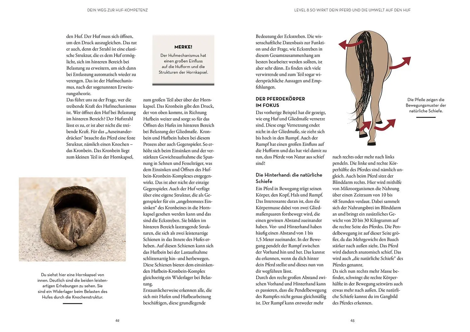 Bild: 9783440179383 | Hufe lesen | Michael Zanger (u. a.) | Taschenbuch | 144 S. | Deutsch