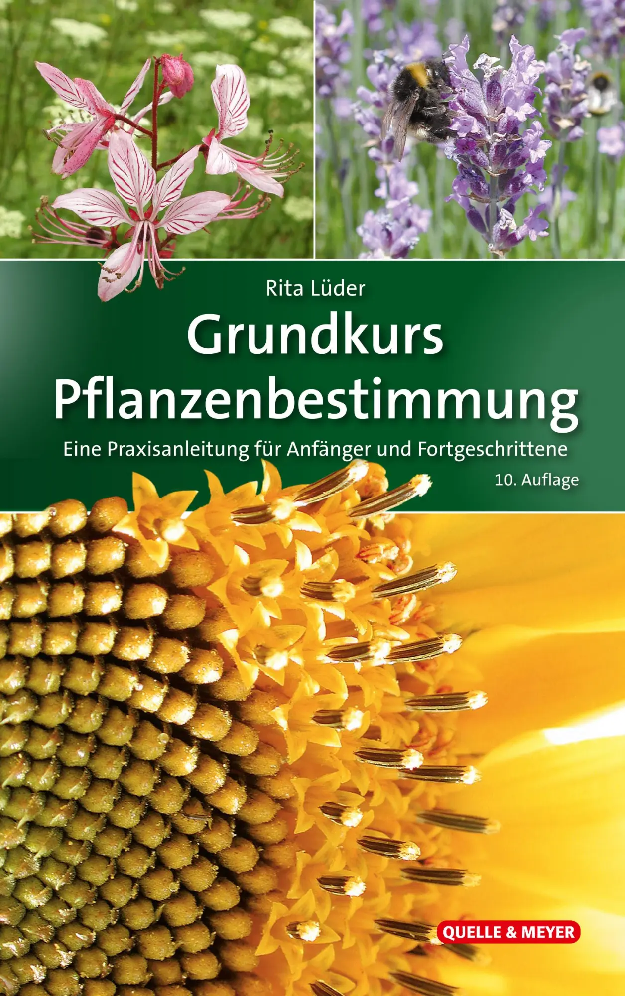 Cover: 9783494019383 | Grundkurs Pflanzenbestimmung | Rita Lüder | Buch | 552 S. | Deutsch