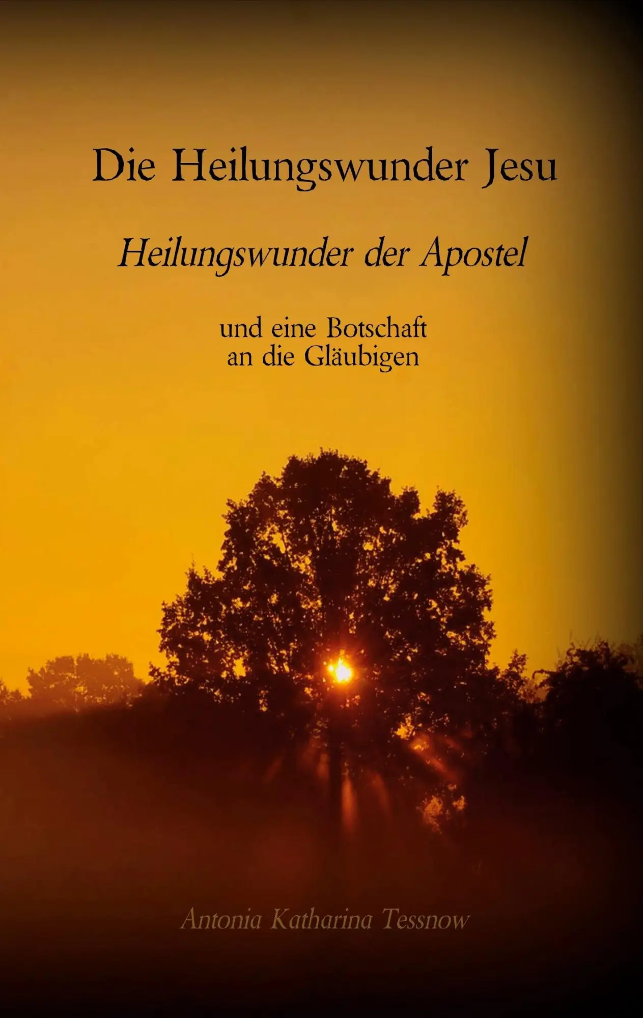 Cover: 9783740769383 | Die Heilungswunder Jesu, Heilungswunder der Apostel | Tessnow | Buch