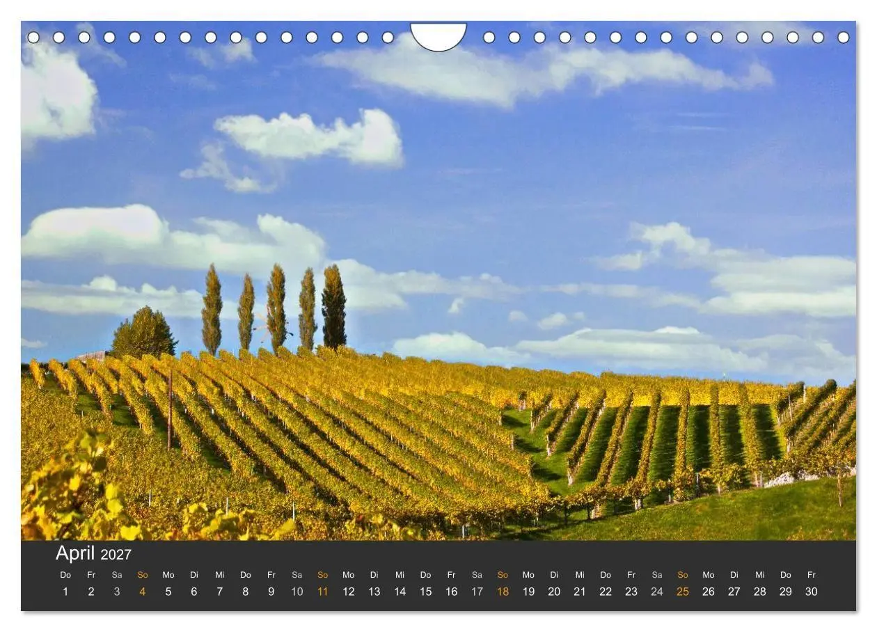 Bild: 9783594169483 | Die Südsteirischen Weinstrasse (Wandkalender 2027 DIN A4 quer),...