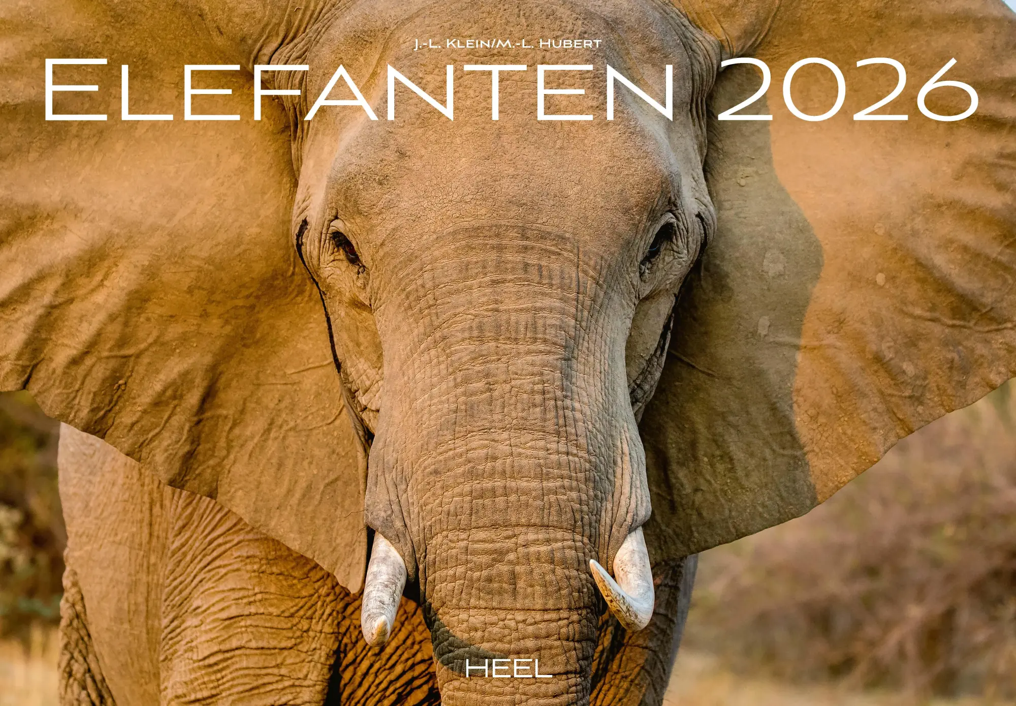 Cover: 9783966649483 | Elefanten Kalender 2026 | J. -L. Klein (u. a.) | Kalender | 14 S.