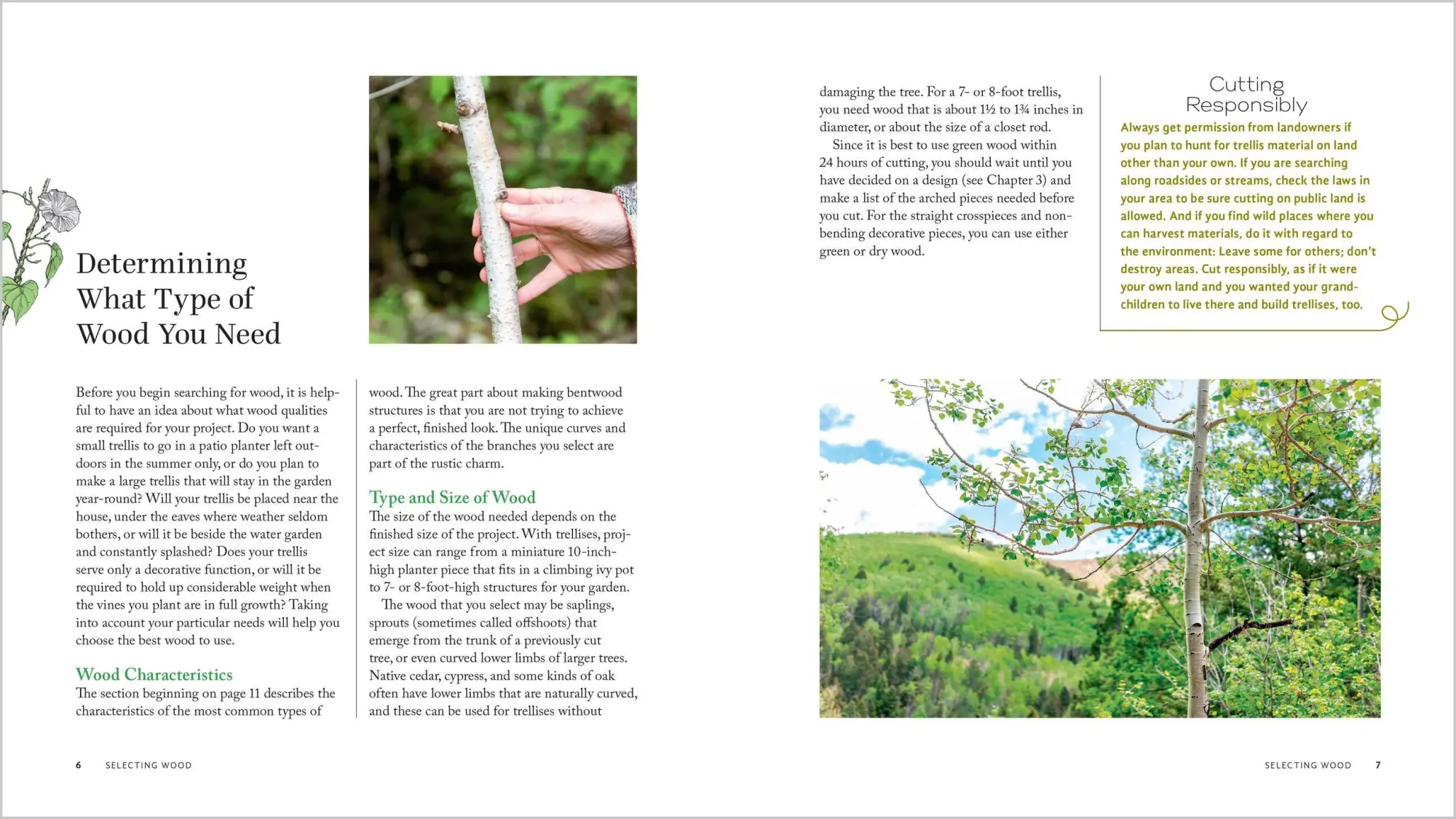 Bild: 9781635869583 | Wildcrafted Garden Structures | Jim Long | Taschenbuch | Englisch