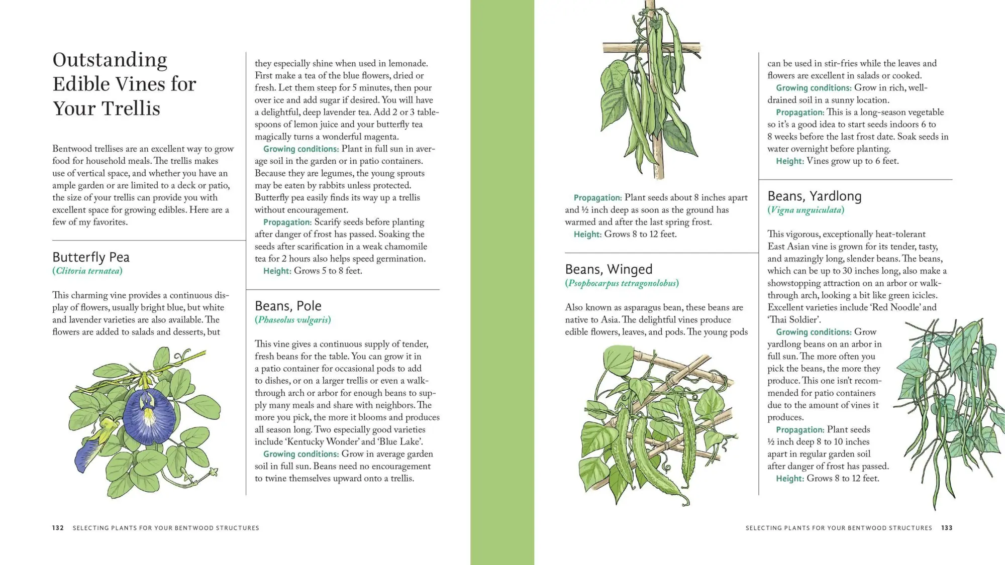 Bild: 9781635869583 | Wildcrafted Garden Structures | Jim Long | Taschenbuch | Englisch