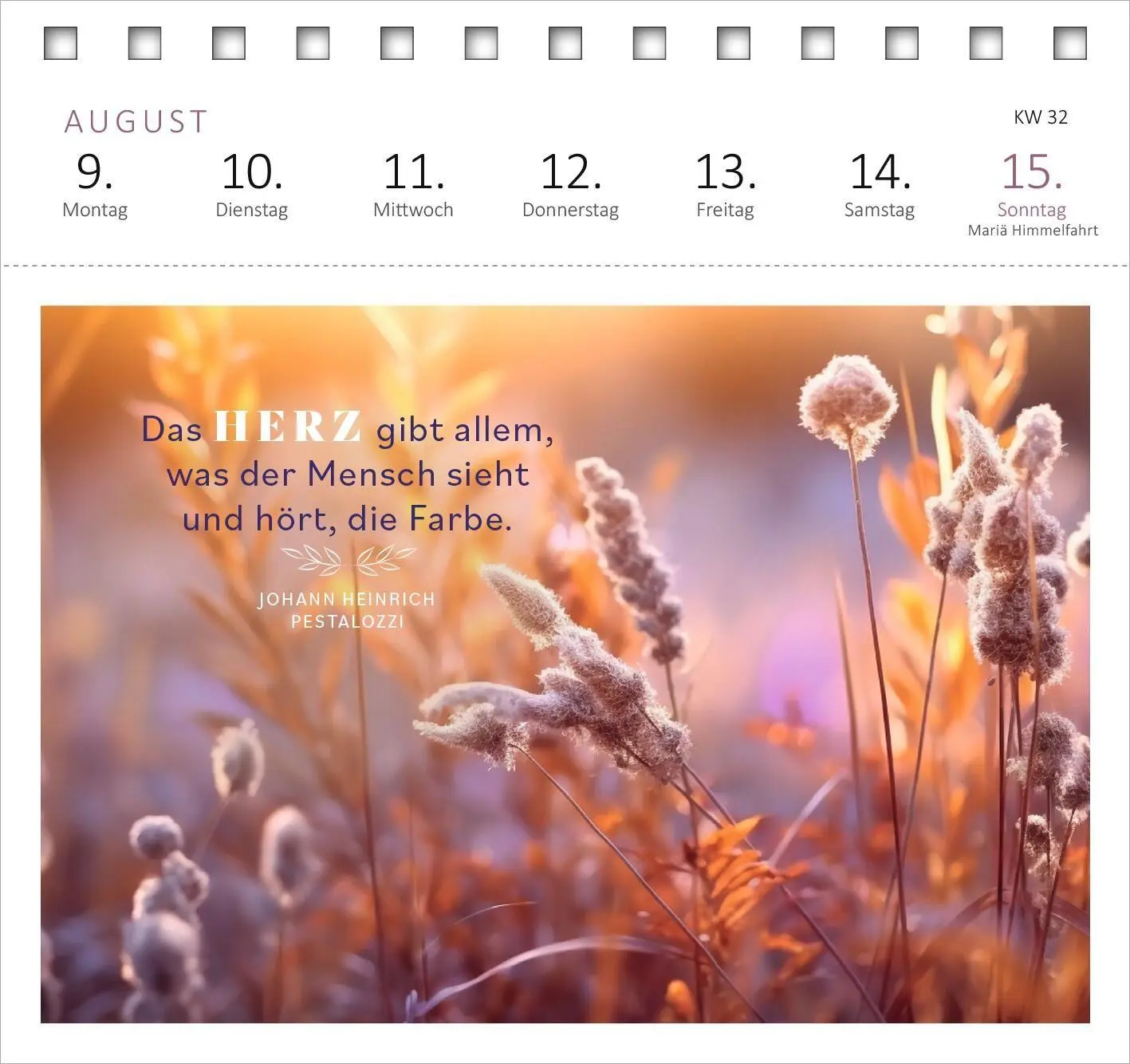 Bild: 4014489139683 | Postkartenkalender 365 Tage Sonne im Herzen 2027 | Kalender | 108 S.