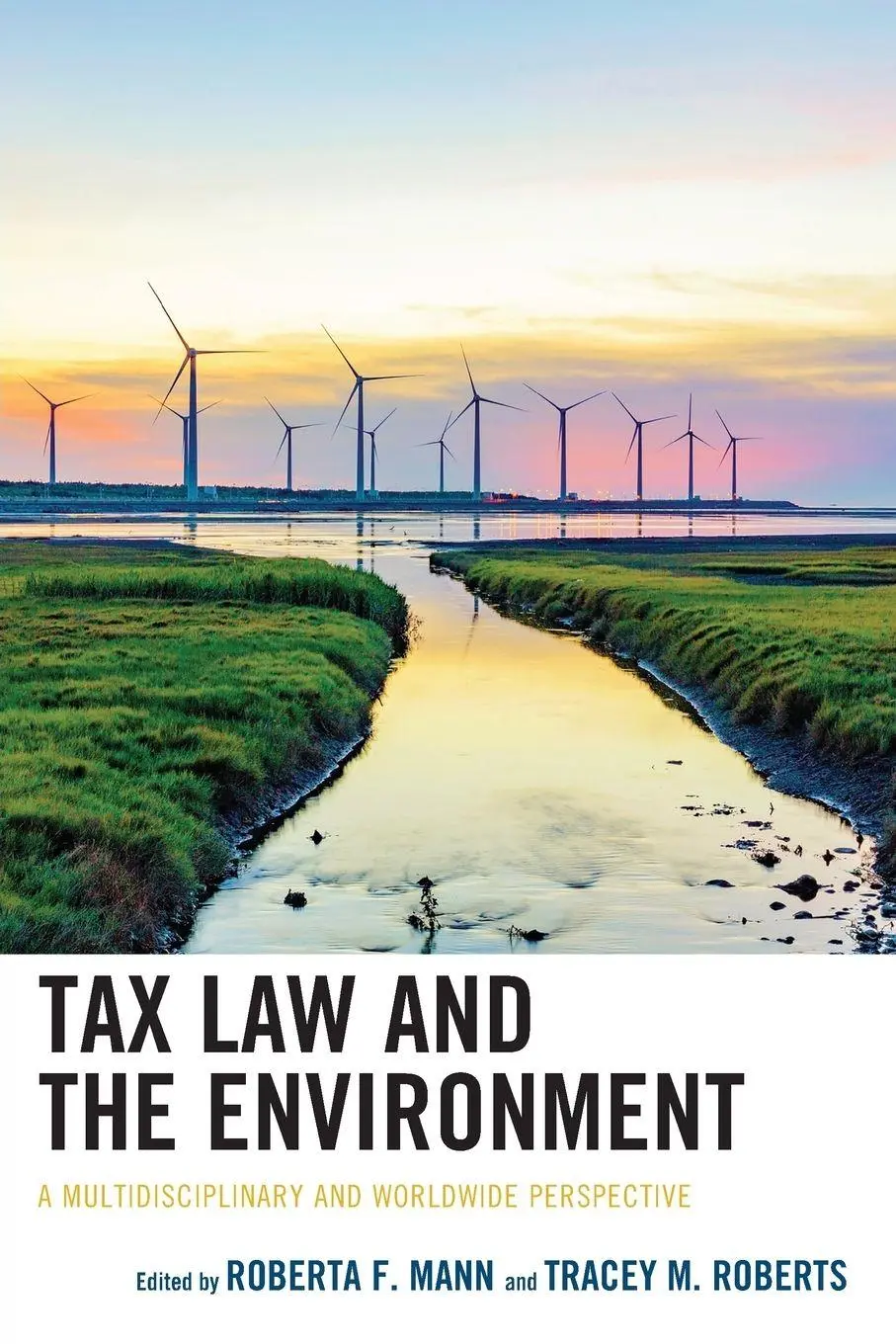 Cover: 9781498559683 | Tax Law and the Environment | Roberta F. Mann (u. a.) | Taschenbuch