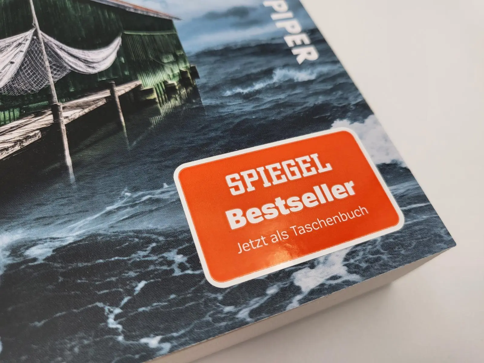 Bild: 9783492319683 | Hohe Wogen | Nicola Förg | Taschenbuch | Alpen-Krimis | 320 S. | 2023