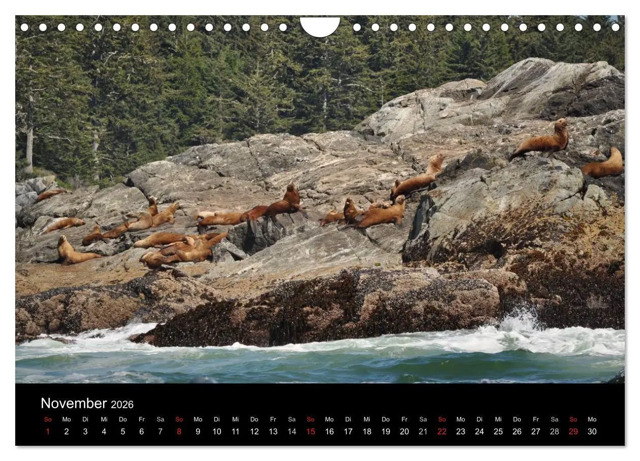 Bild: 9783516169683 | Vancouver und Vancouver Island 2026 (Wandkalender 2026 DIN A4...