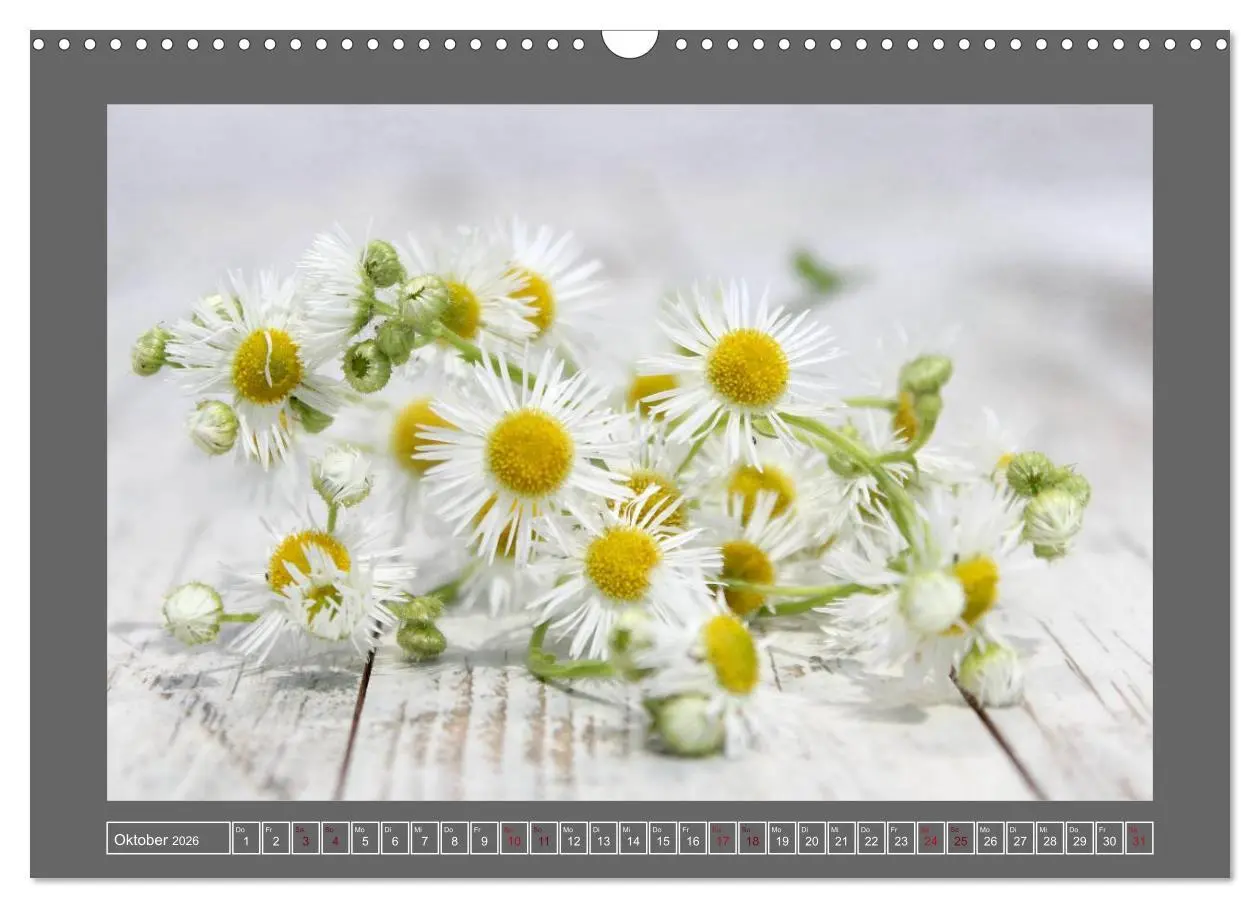 Bild: 9783516229783 | Blumen für dich (Wandkalender 2026 DIN A3 quer), CALVENDO...