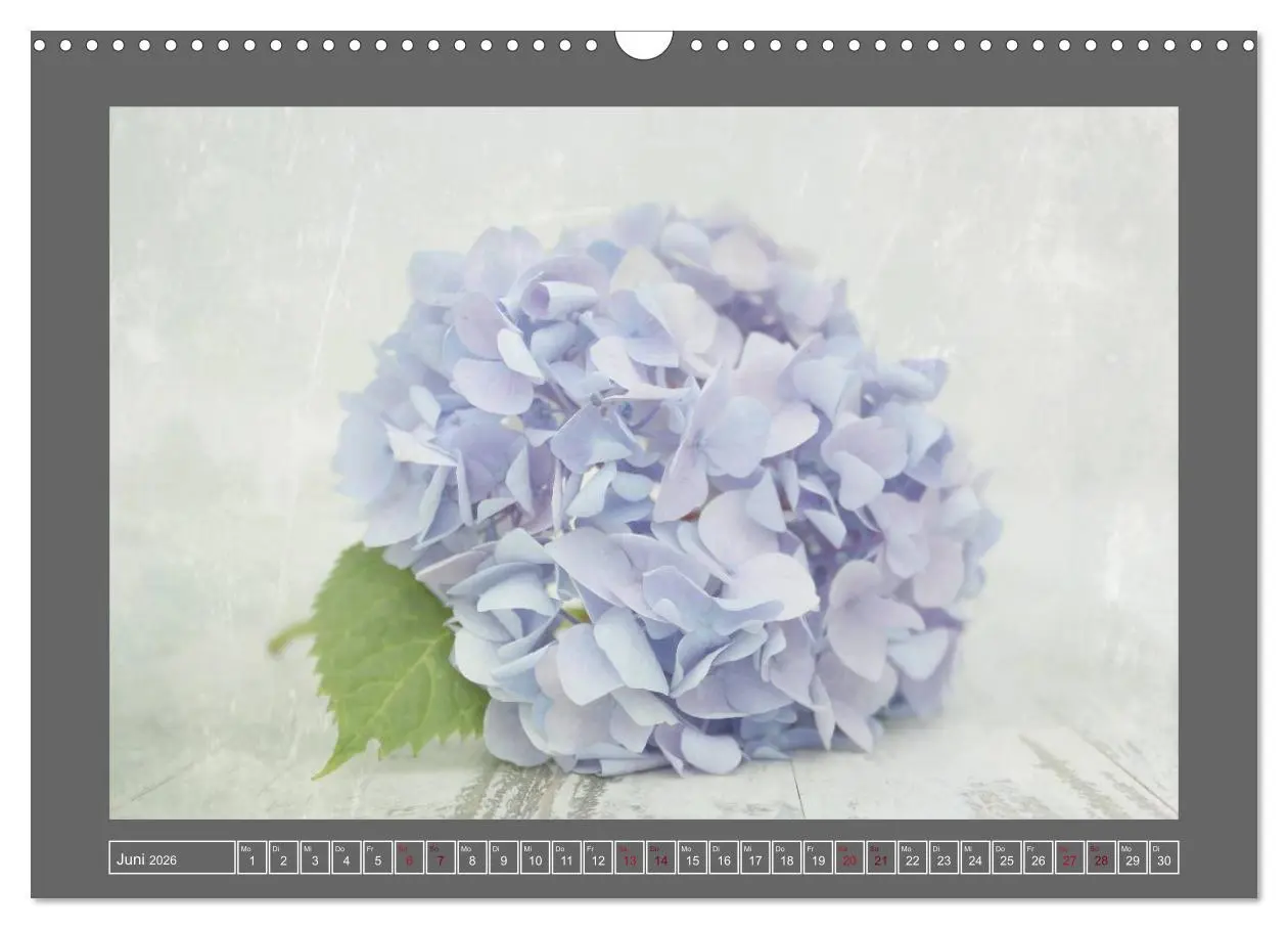 Bild: 9783516229783 | Blumen für dich (Wandkalender 2026 DIN A3 quer), CALVENDO...