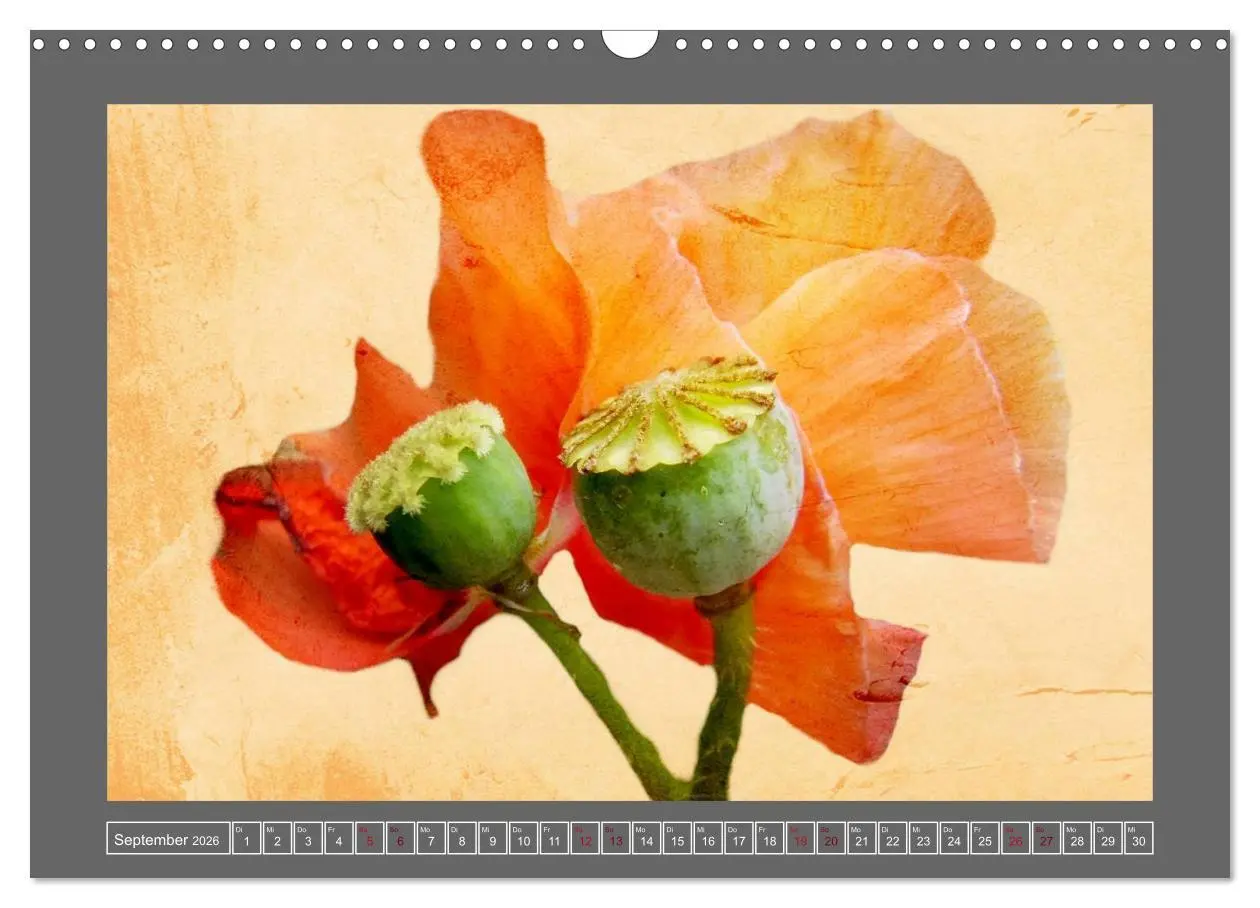 Bild: 9783516229783 | Blumen für dich (Wandkalender 2026 DIN A3 quer), CALVENDO...