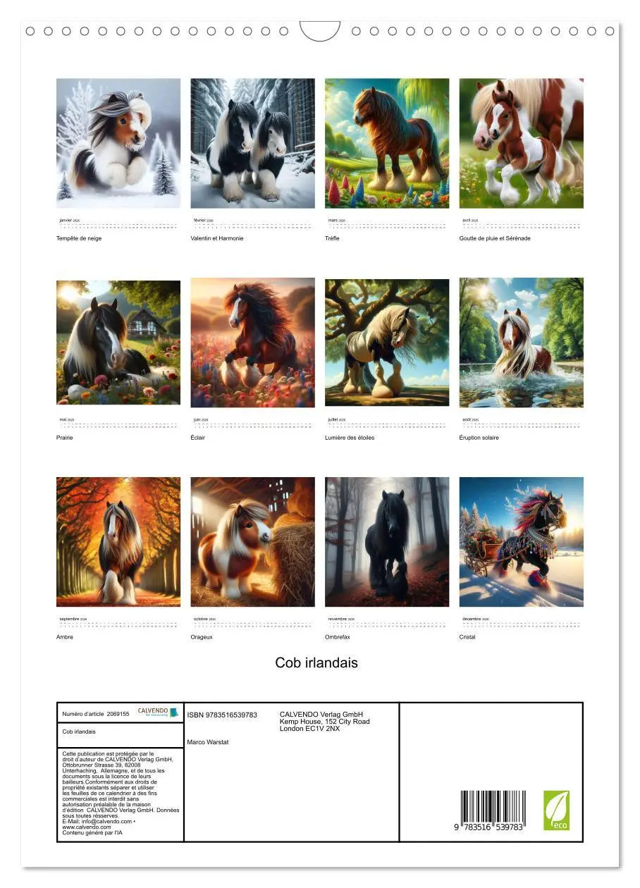 Bild: 9783516539783 | Cob irlandais (Calendrier mural 2026 DIN A3 horizontal), CALVENDO...