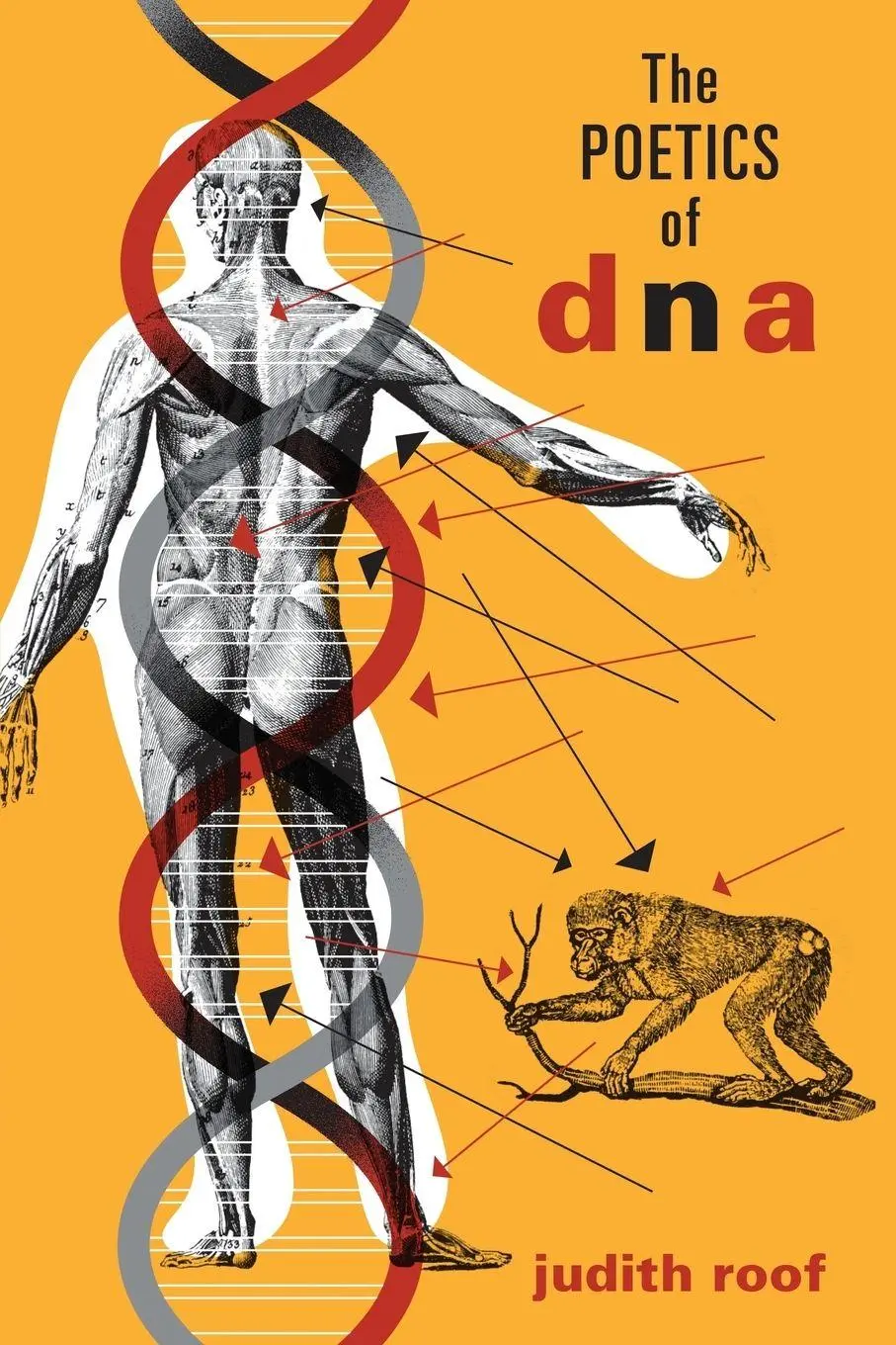 Cover: 9780816649983 | The Poetics of DNA | Judith Roof | Taschenbuch | Englisch | 2007