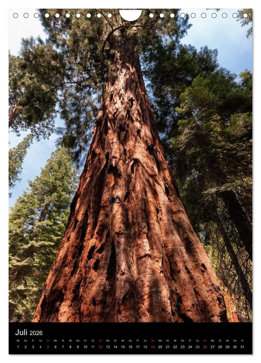 Bild: 9783516449983 | Idylle Pur - Der Yosemite National Park (Wandkalender 2026 DIN A4...