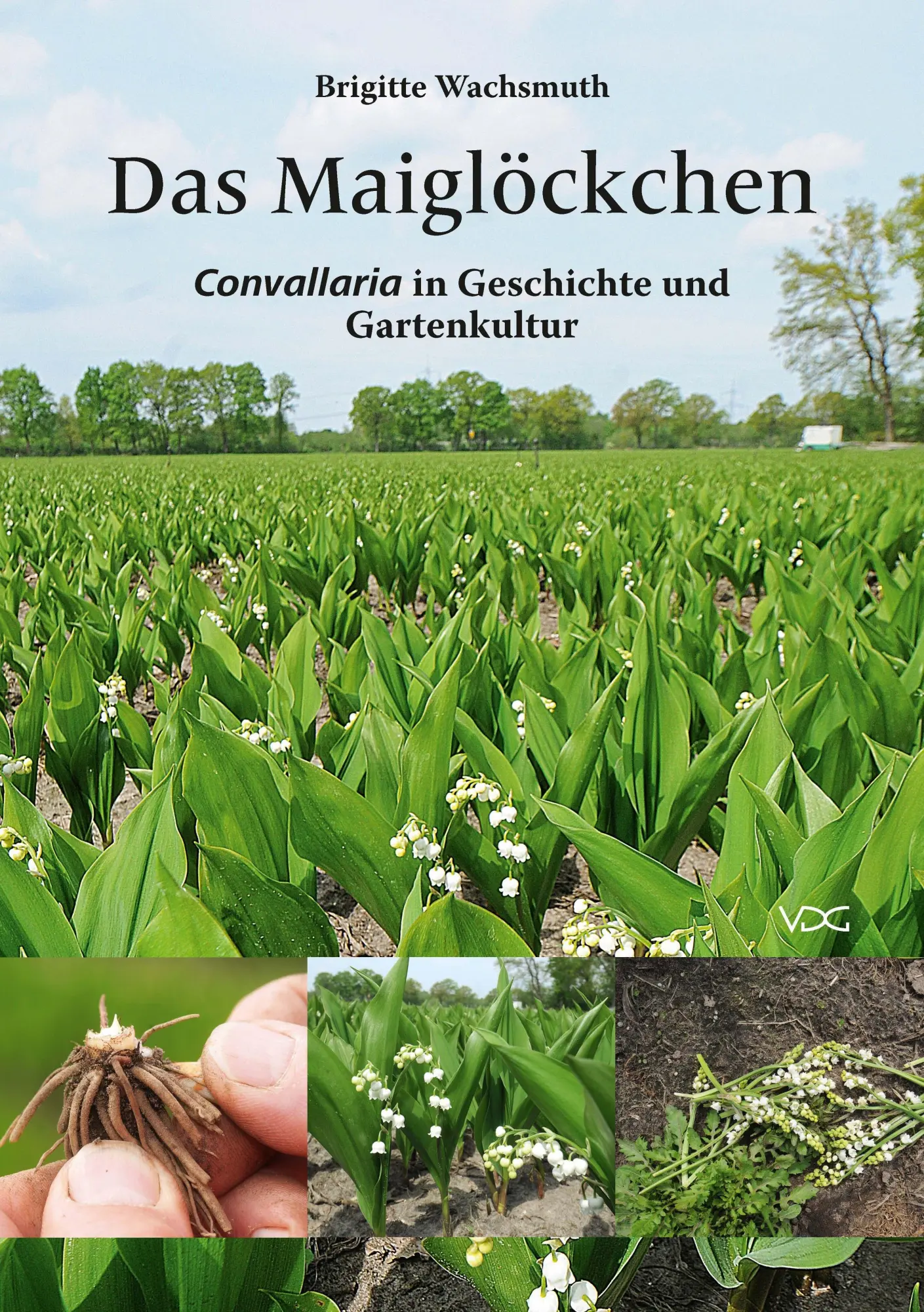 Cover: 9783897399983 | Das Maiglöckchen | Convallaria in Geschichte und Gartenkultur | Buch