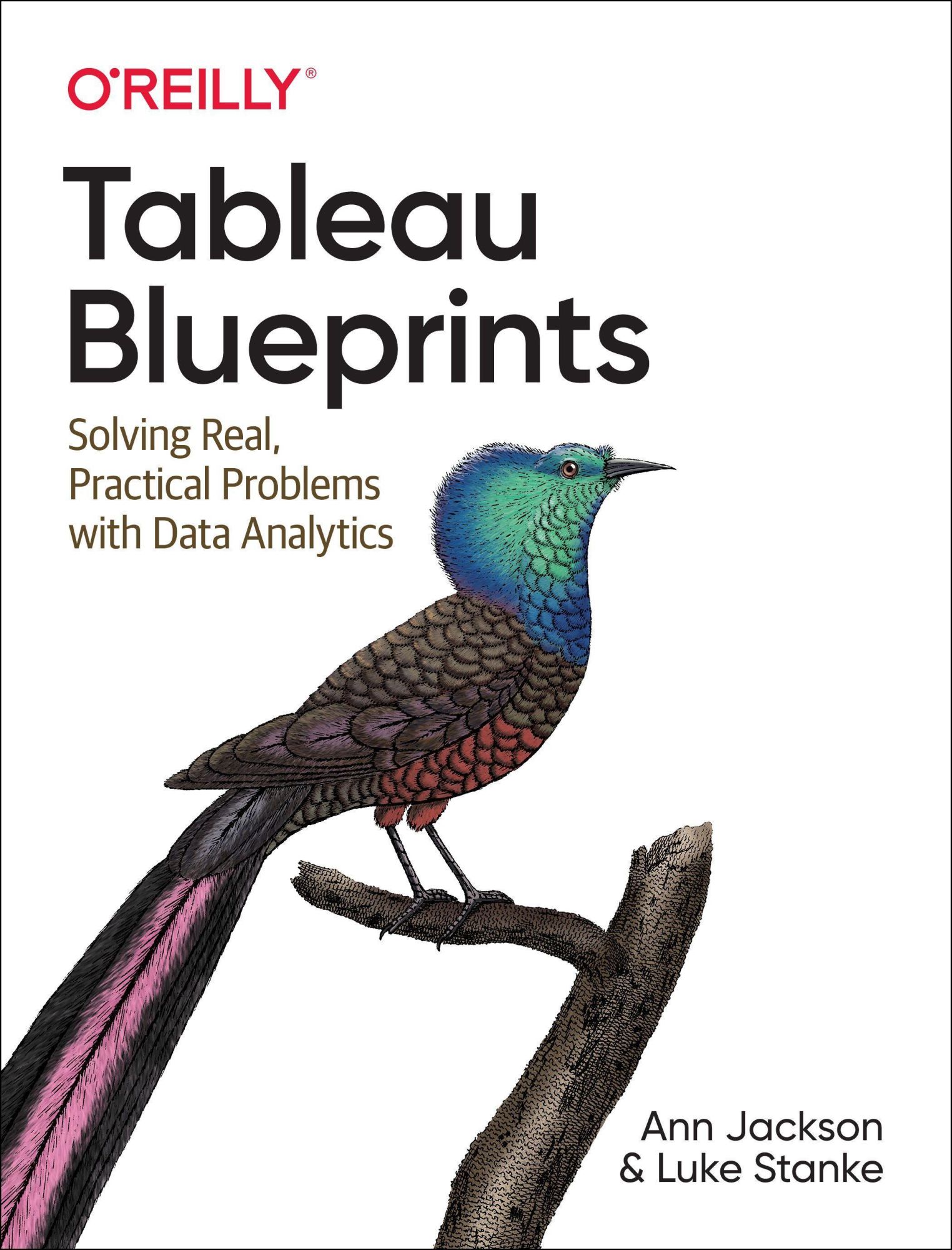 Cover: 9781492080084 | Tableau Strategies | Ann Jackson (u. a.) | Taschenbuch | Englisch
