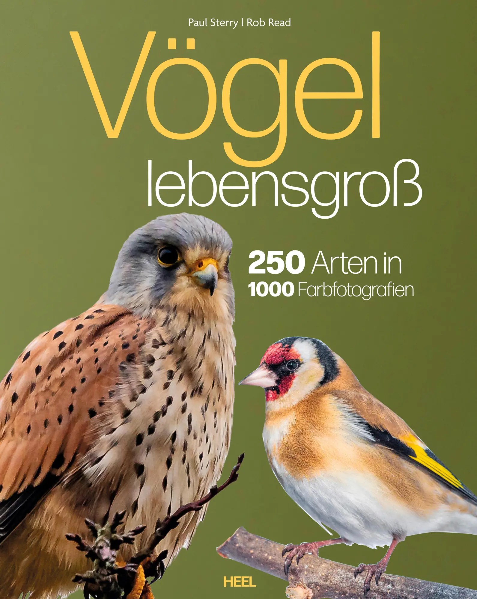 Cover: 9783690190084 | Vögel lebensgroß | Paul Sterry (u. a.) | Buch | 250 S. | Deutsch