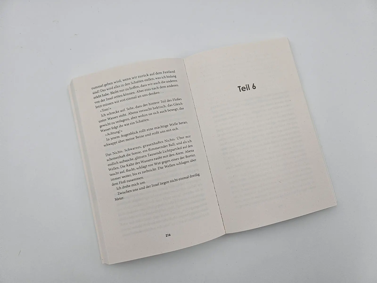Bild: 9783492320184 | The Island - Es gibt kein Entkommen | Nils Hauser | Taschenbuch | 2024