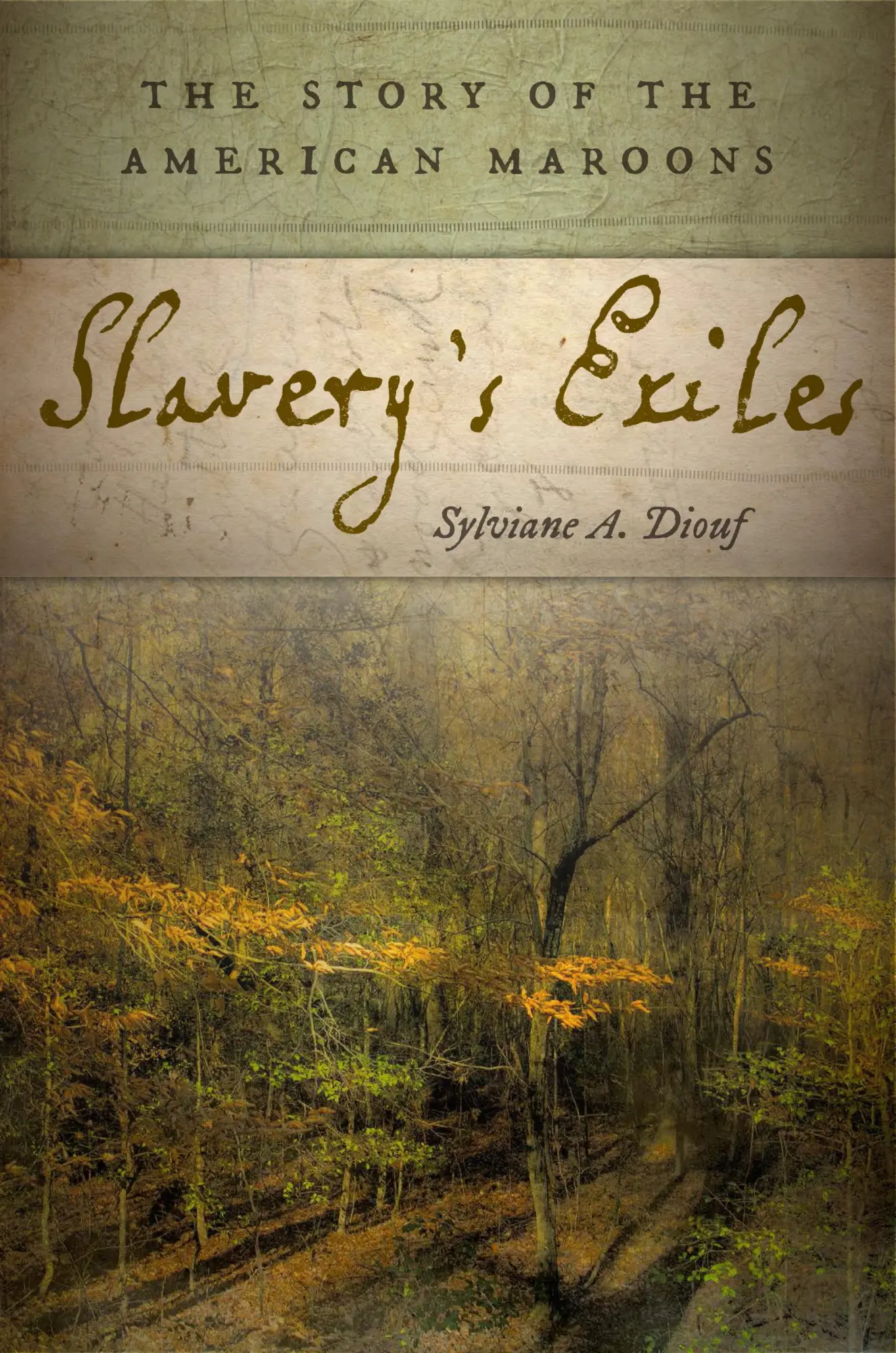 Cover: 9780814760284 | Slavery's Exiles | The Story of the American Maroons | Diouf | Buch