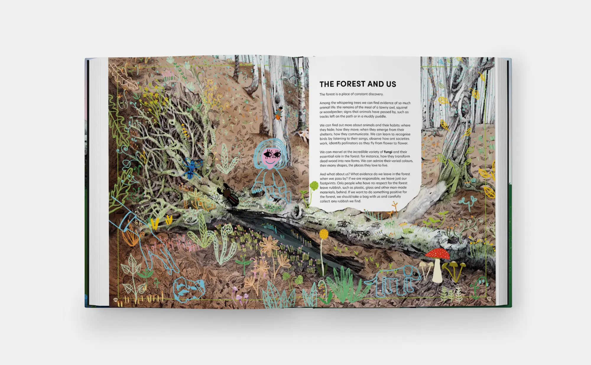 Bild: 9781837290284 | The Tomorrow Tree | How Nature Creates New Life From Old | Michno