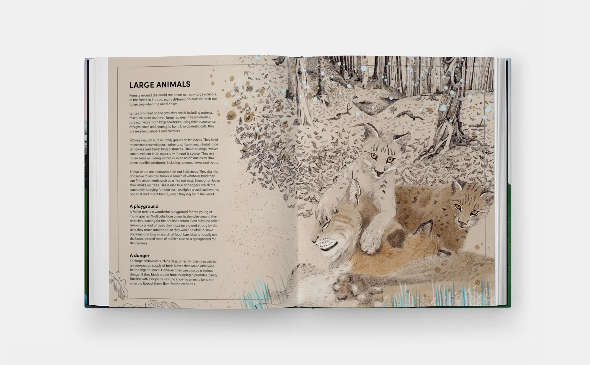 Bild: 9781837290284 | The Tomorrow Tree | How Nature Creates New Life From Old | Michno