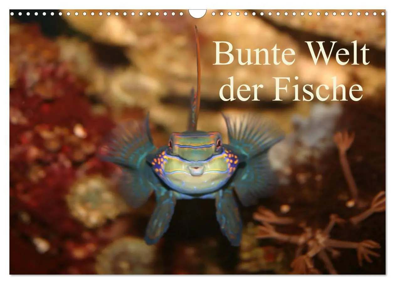 Cover: 9783516160284 | Bunte Welt der Fische (Wandkalender 2026 DIN A3 quer), CALVENDO...