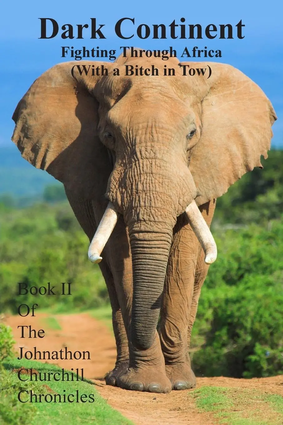 Cover: 9781803690384 | Dark Continent | Fighting Through Africa (With a Bitch in Tow) | Buch
