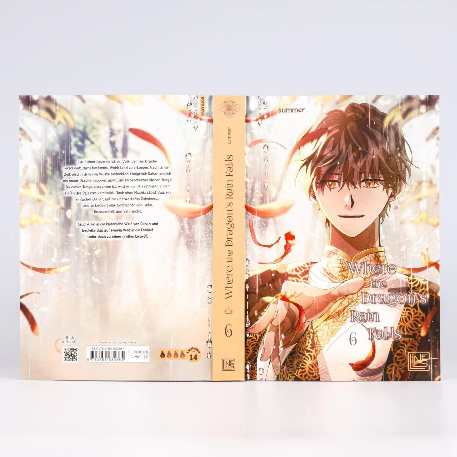 Bild: 9783551630384 | Where the Dragon's Rain Falls 6 | Summer | Taschenbuch | 352 S. | 2025