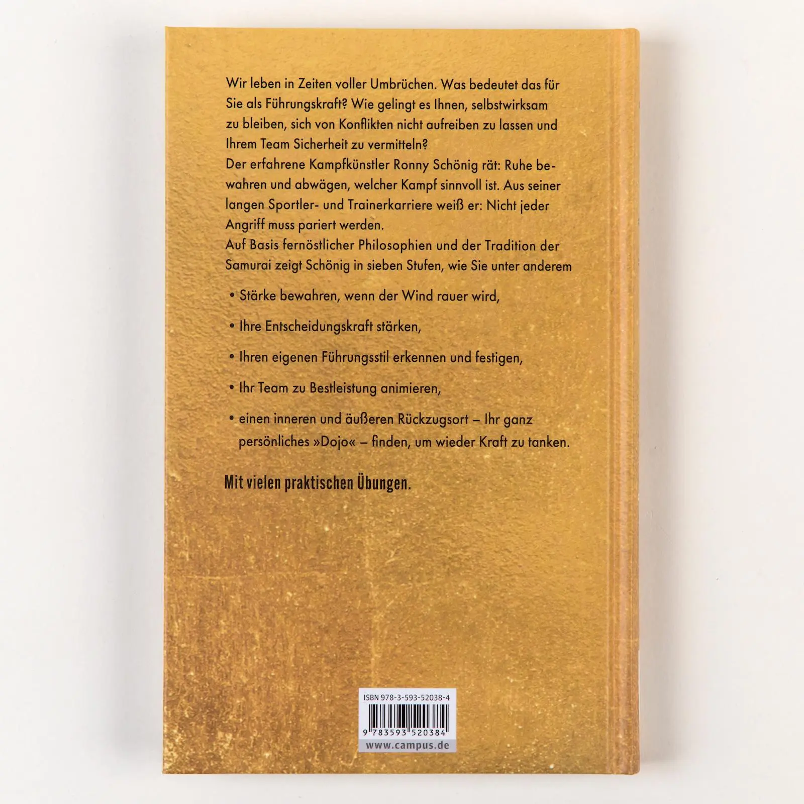 Rückseite: 9783593520384 | Business-Dojo für Führungskräfte | Ronny Schönig | Buch | 208 S.