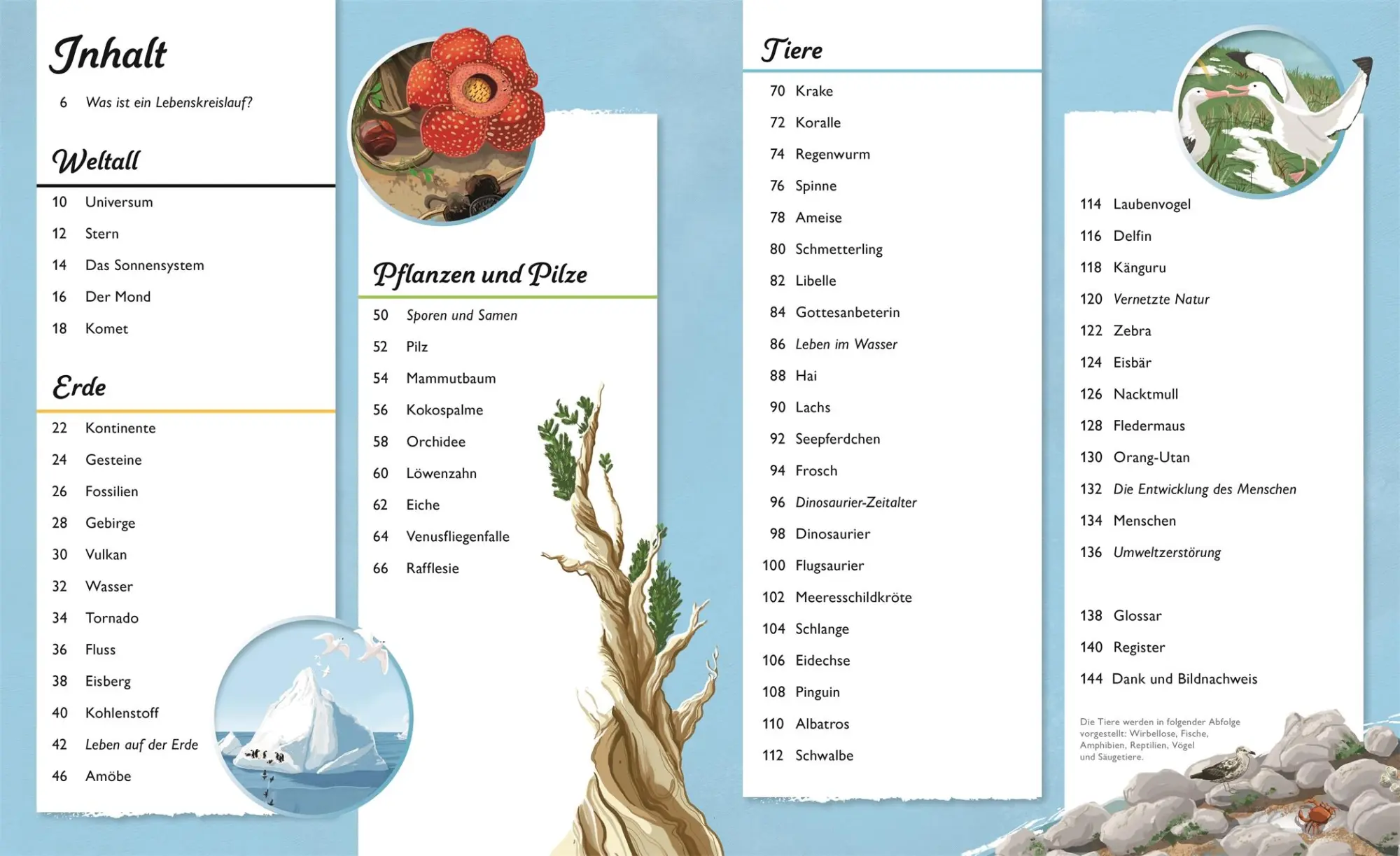 Bild: 9783831040384 | Kreisläufe der Natur | DK Verlag - Kids | Buch | 144 S. | Deutsch