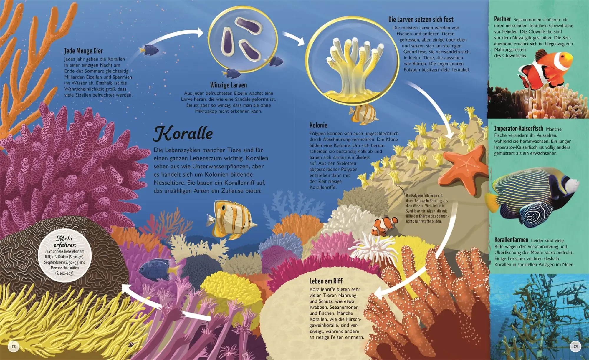 Bild: 9783831040384 | Kreisläufe der Natur | DK Verlag - Kids | Buch | 144 S. | Deutsch
