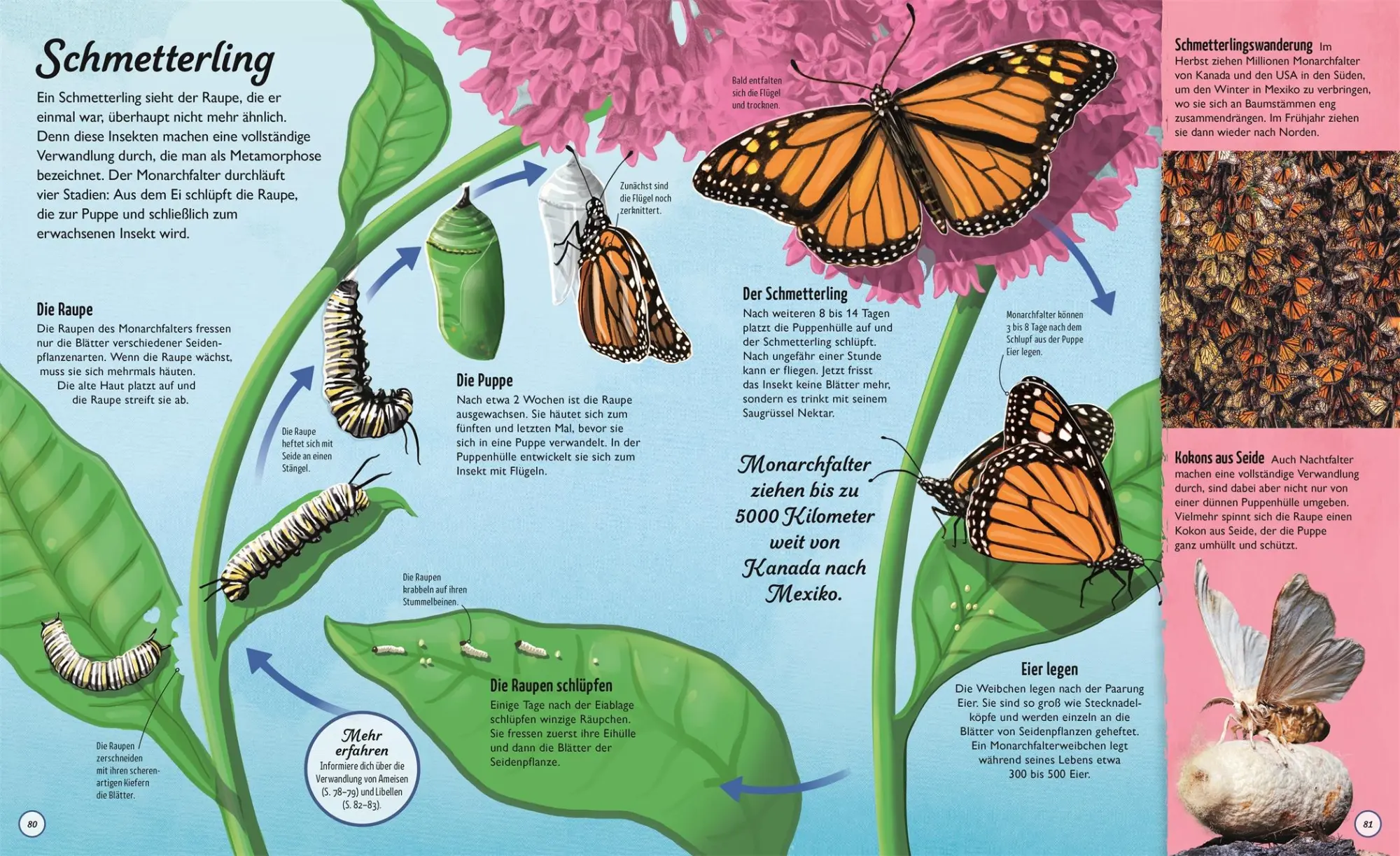 Bild: 9783831040384 | Kreisläufe der Natur | DK Verlag - Kids | Buch | 144 S. | Deutsch