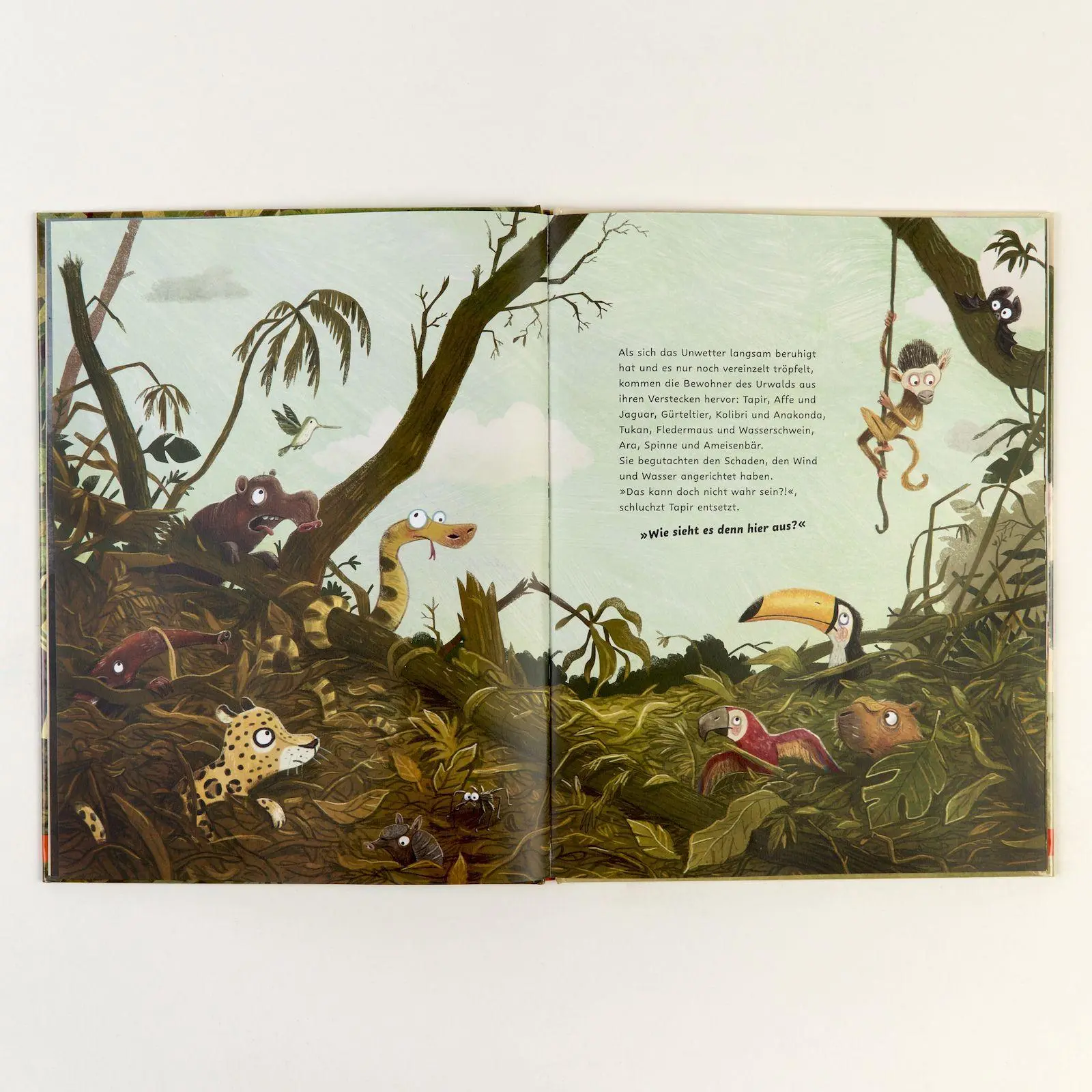 Bild: 9783407790484 | Räumt mal schnell den Dschungel auf! | Vierfarbiges Bilderbuch | Buch