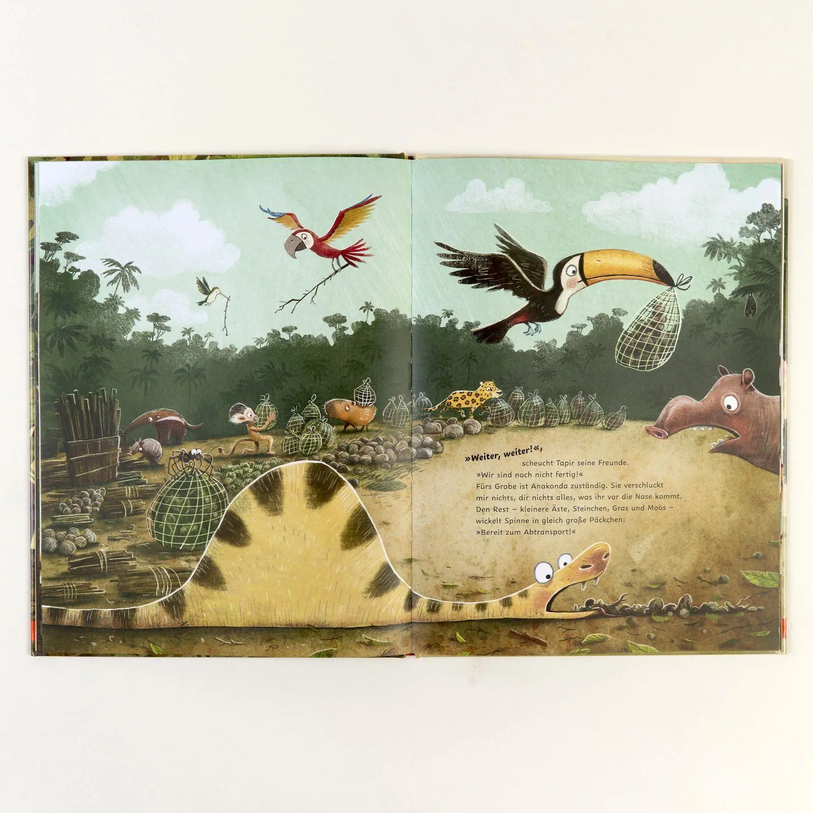 Bild: 9783407790484 | Räumt mal schnell den Dschungel auf! | Vierfarbiges Bilderbuch | Buch