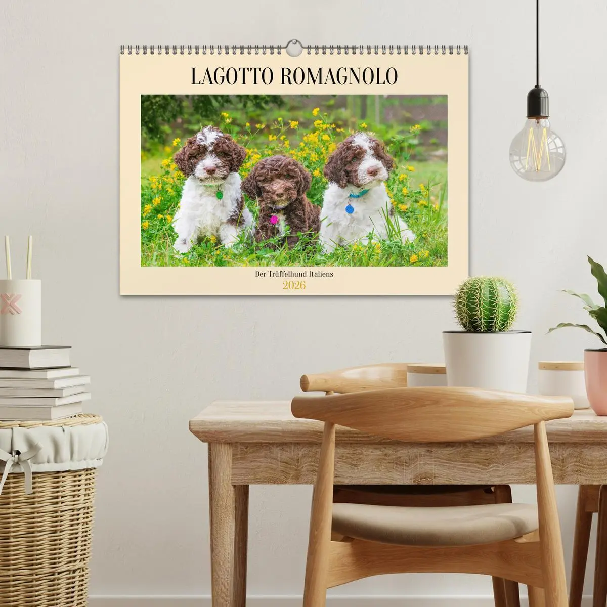 Bild: 9783457500484 | Lagotto Romagnolo - der Trüffelhund Italiens (Wandkalender 2026 DIN...