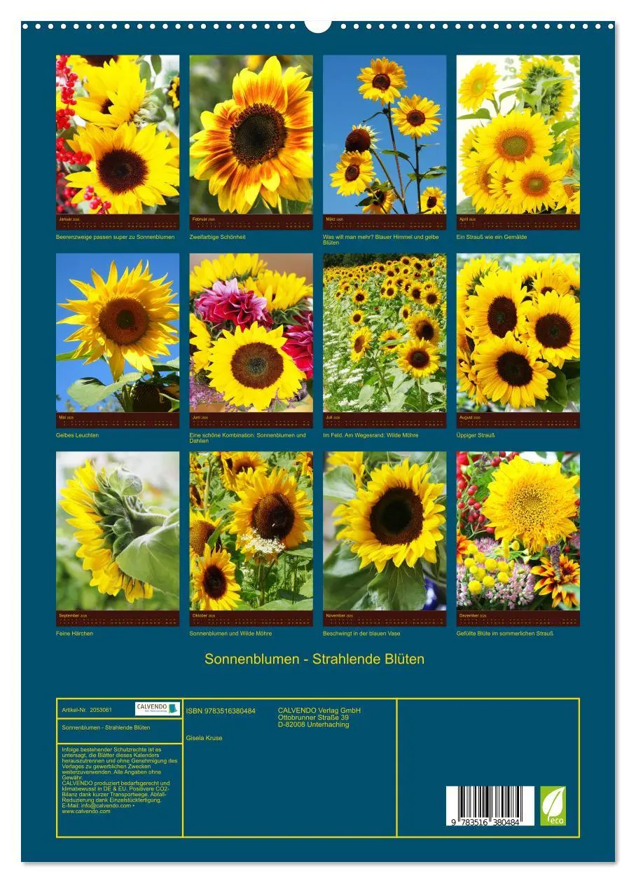 Bild: 9783516380484 | Sonnenblumen - Strahlende Blüten (hochwertiger Premium Wandkalender...