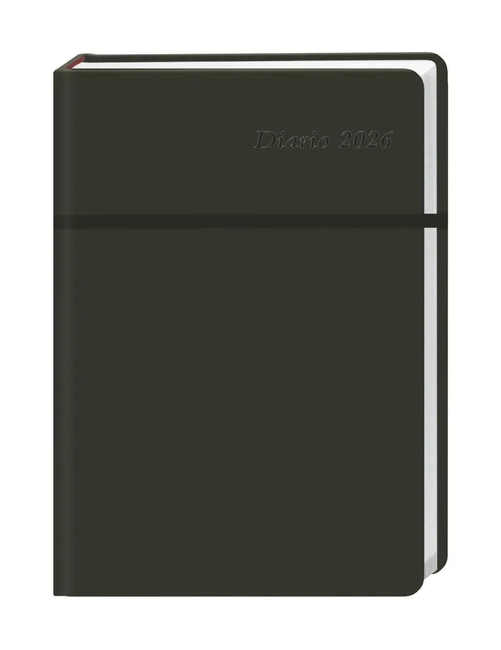 Cover: 9783756410484 | Diario Wochen-Kalenderbuch A6, schwarz 2026 | Buch | Bürokalender Heye