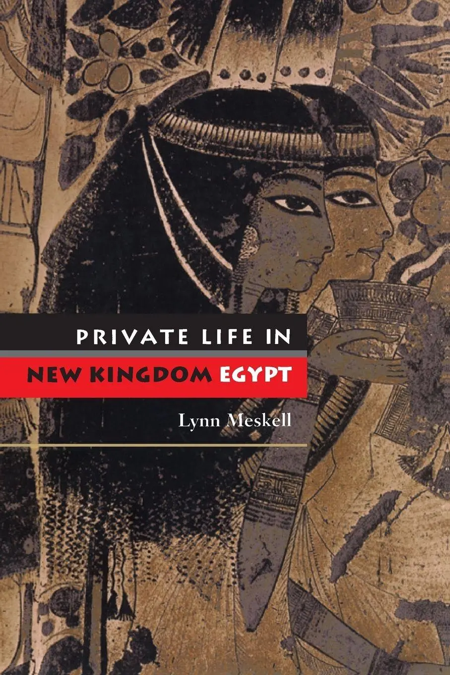 Cover: 9780691120584 | Private Life in New Kingdom Egypt | Lynn Meskell | Taschenbuch | 2004