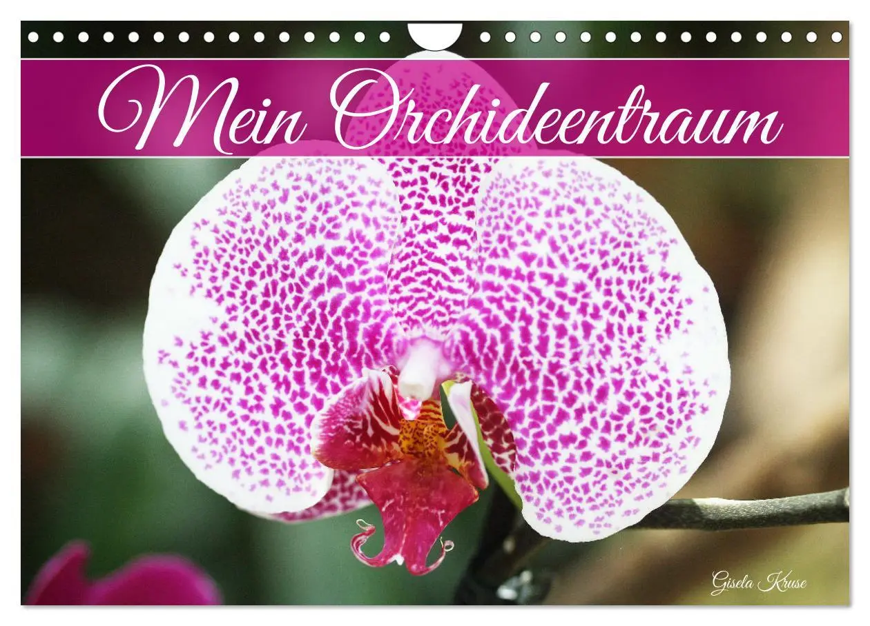 Cover: 9783457590584 | Mein Orchideentraum (Wandkalender 2026 DIN A4 quer), CALVENDO...