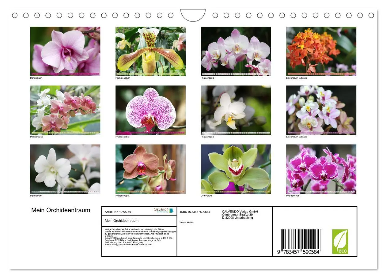 Bild: 9783457590584 | Mein Orchideentraum (Wandkalender 2026 DIN A4 quer), CALVENDO...